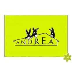 Asociación Andrea